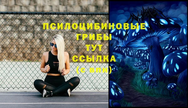 стафф Алзамай