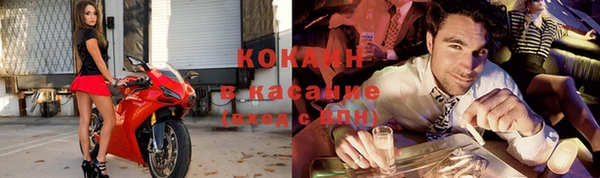 стафф Алзамай