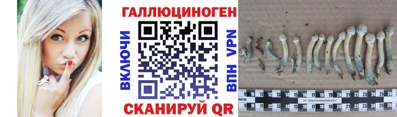 Псилоцибиновые грибы мицелий  цены наркотик  Арамиль 